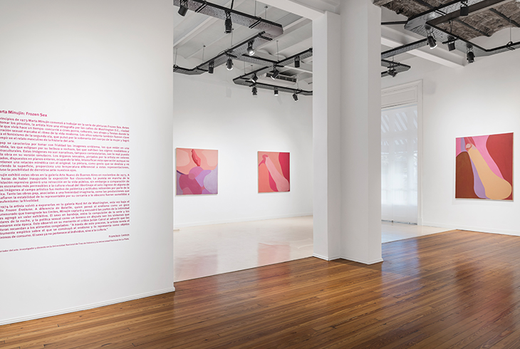 Circuitos en deriva: Recoleta